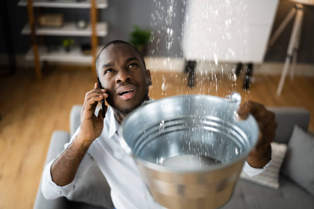 Best Water damage contractors near me  in Walker Valley, NY