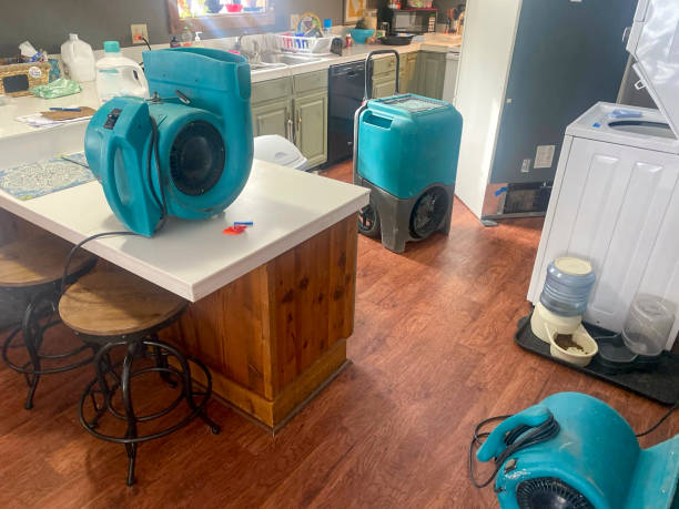 Best Mold removal after water damage  in Walker Valley, NY