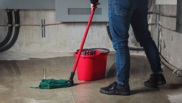 Best Water damage restoration near me  in Walker Valley, NY