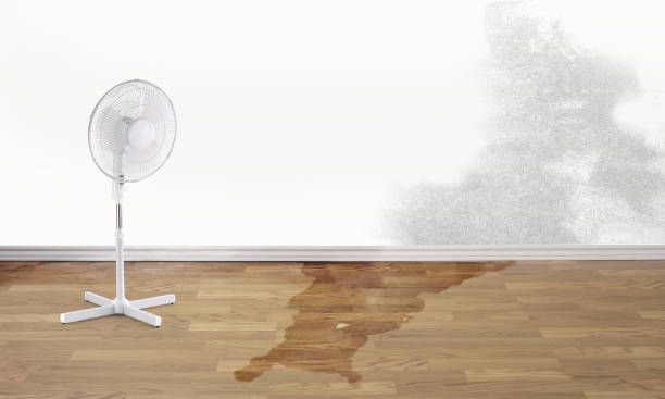 Best Water damage restoration experts  in Walker Valley, NY