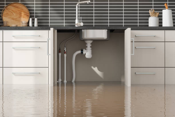 Best Residential water damage restoration  in Walker Valley, NY