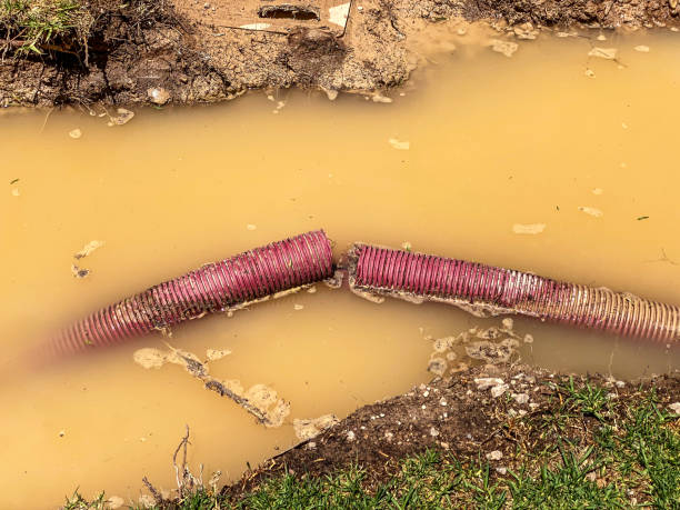 Best Professional water damage repair  in Walker Valley, NY