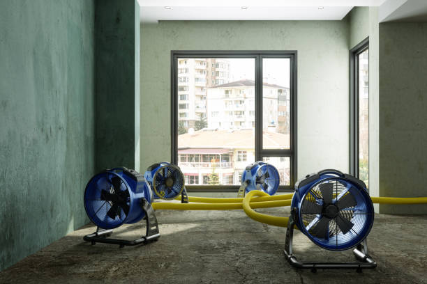 Best Water damage restoration near me  in Walker Valley, NY